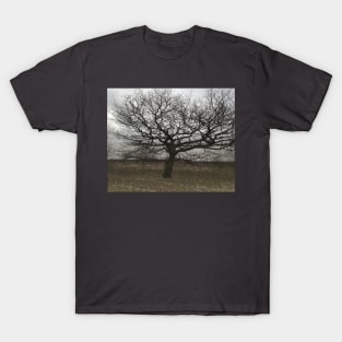 Free standing Tree T-Shirt